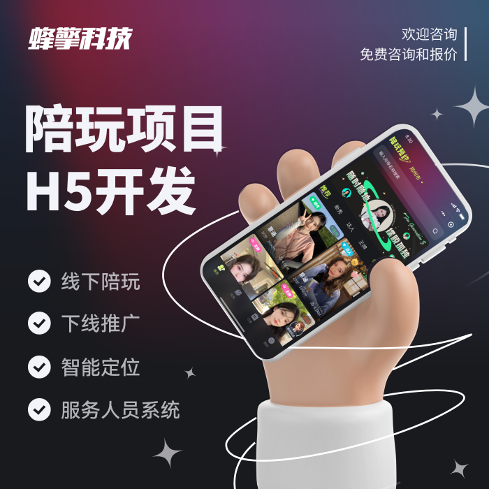 陪玩项目